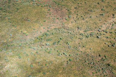 Avustralya kırsalında Kimberleys Batı Avustralya 'daki araziyi kaplayan seyrek çalılık.