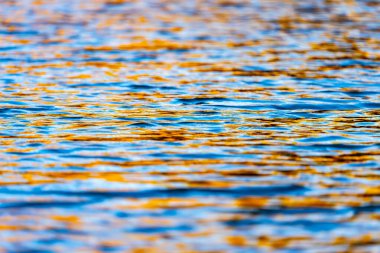 Kimberleys 'de gündoğumunda arkaplan veya efektler için su dalgalanmaları harmanlanmış mavi ve altın rengi ışık ile kullanılır.