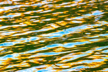 Su, Kimberleys 'te gündoğumunda mavi ve altın rengi karışımlı ışık ile arka plan veya efektler için hafif çapraz desenlerde dalgalanır.