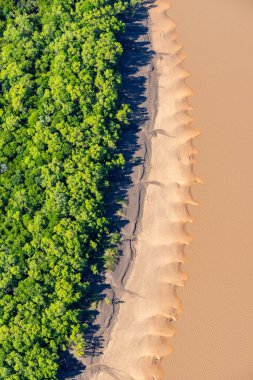 Tidal pattern and stream below forming realistic effects formed by mudflat vegetation exposed when tide goes out in coastal Kimberleys Western Australia.