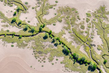 Batı Avustralya 'daki Kimberleys kıyılarında gelgit çekildiğinde ortaya çıkan çamurlu düz bitki örtüsünün oluşturduğu gerçekçi etkilerin altındaki gelgit şekilleri..