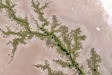 Batı Avustralya 'daki Kimberleys kıyılarında gelgit çekildiğinde ortaya çıkan çamurlu düz bitki örtüsünün oluşturduğu gerçekçi etkilerin altındaki gelgit şekilleri..