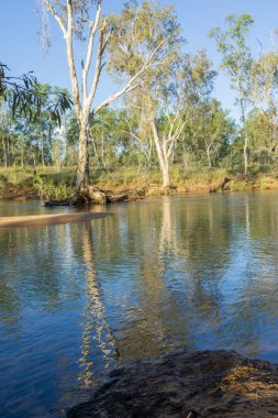 Drysdale Nehri 'nin nehir manzarası ve Kimberley Batı Avustralya' daki çevre arazi ve bitki örtüsü..