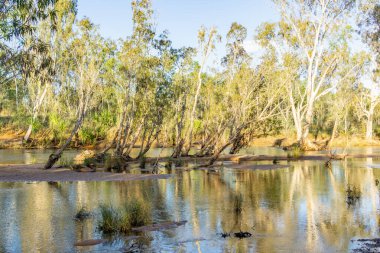 Drysdale Nehri 'nin nehir manzarası ve Kimberley Batı Avustralya' daki çevre arazi ve bitki örtüsü..
