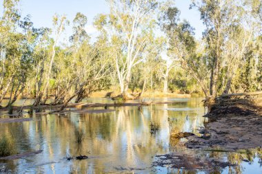Drysdale Nehri 'nin nehir manzarası ve Kimberley Batı Avustralya' daki çevre arazi ve bitki örtüsü..
