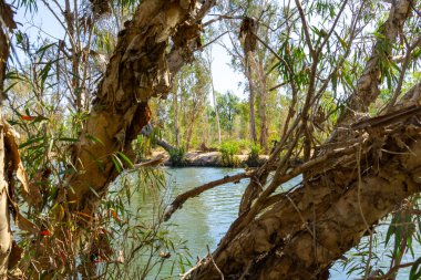 Batı Avustralya Kimberley Bölgesindeki Drysdale Nehri manzarası.