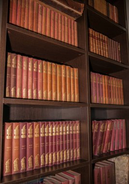 Tauranga Yeni Zelanda - 26 Haziran 2014; Sıralar dolusu birbirine bağlı aynı boyut ve renkte dikey kompozisyon kitaplığı.