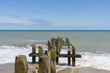 Ufuk çizgisini geçtikten sonra deniz yosunları ve midye kaplı sahil koruma damızlıkları Norfolk 'taki Walcott' ta tipik bir İngiliz plajında denize açılıyor..