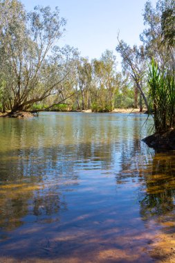 Drysdale Nehri manzarası Kimberley Batı Avustralya 'da sabah ışığı altında.