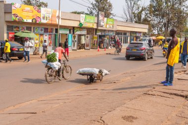 Kigali Rwanda - 4 Eylül 2025; Bir grup yeşil muzlu adam tramvayı geçiyor ve yol kenarında kuru dal ve çubuklar var. .