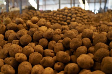 Kimironko pazarında taze sebzeler sergileniyor Kigali Rwanda.