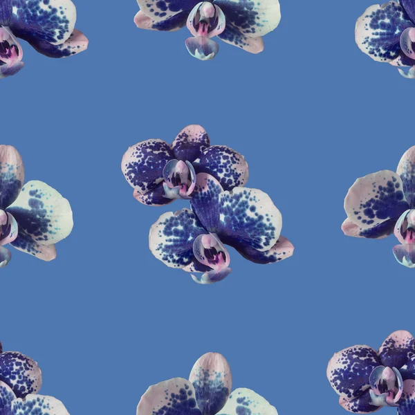 blue orchid with spots on blue background. Isolated flowers. Seamless floral pattern for fabric, textile, wrapping paper. Tropical flowers.