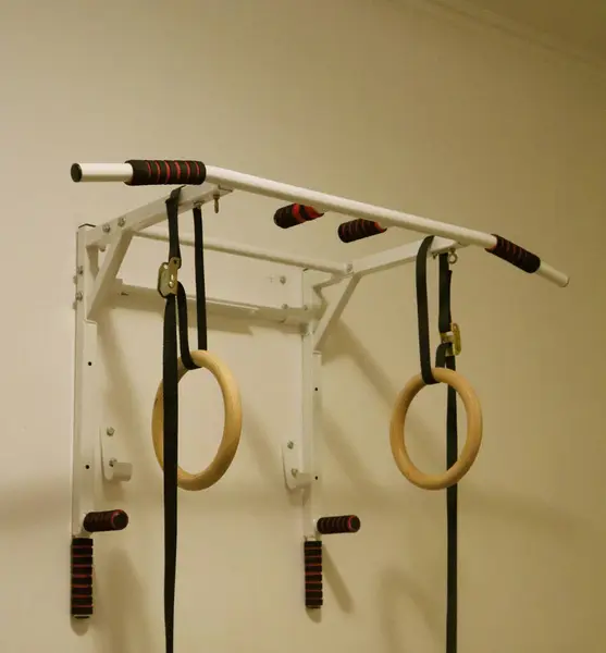 Duvar monte edilmiş ev egzersiz ekipmanı