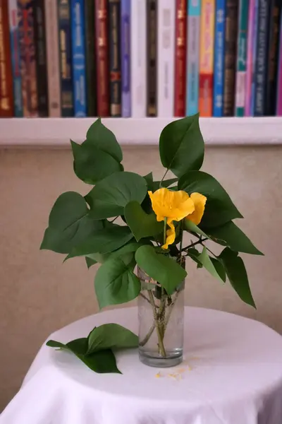 Bahçedeki güzel çiçekler