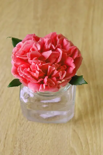 Masada güzel bir gül