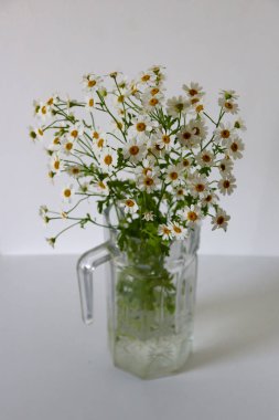 Beyaz arkaplanda vazoda güzel beyaz bir çiçeğin dikey görüntüsü.