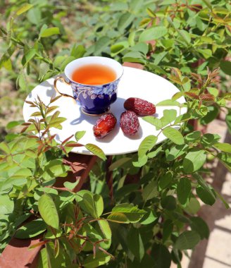 Bir fincan sıcak çay ve hurma.