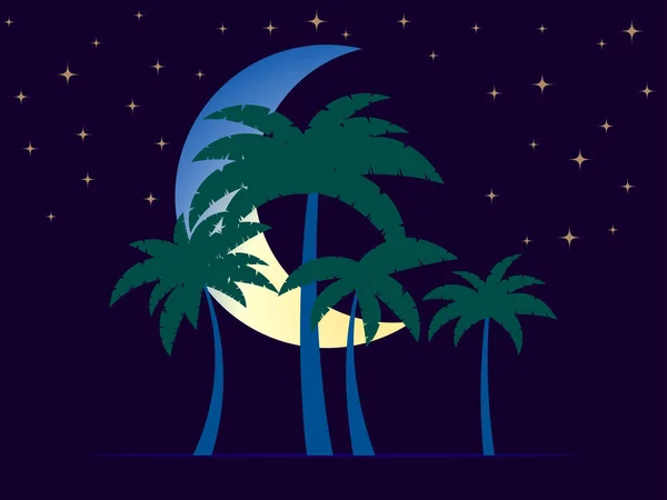 Nächtliche Landschaft Mit Palmen Und Mondsicheln Nachthimmel Mit Mond Und — Stockvektor