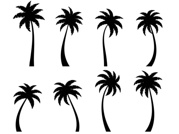 Černé Zakřivené Palmy Izolované Bílém Pozadí Křivá Silueta Dlaně Návrh — Stockový vektor