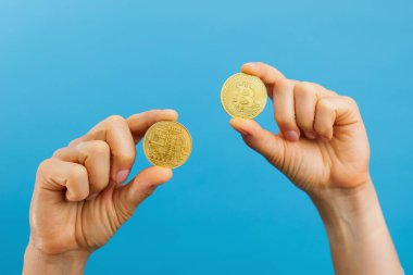 Closeup of hands holding golden bitcoins, copy space for cryptocurrency commercial, digital money, electronic investment. Indoor studio shot isolated on blue background.