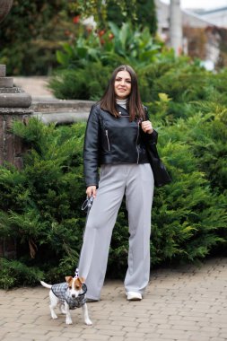 En sevdiği tüylü, eğitimli safkan Jack Russell Terrier köpeğiyle sonbahar günü sokakta köpekler için takım elbise giymiş bir kadın. Sadık en iyi arkadaşlar