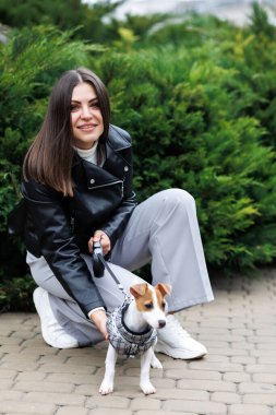 En sevdiği tüylü, eğitimli safkan Jack Russell Terrier köpeğinin yanında oturan sıradan bir kadın sonbahar günü sokakta köpekler için takım elbise giyer. Sadık en iyi arkadaşlar