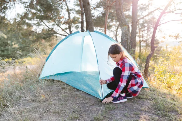 A cute teenage girl pitches a tent in the middle of a pine forest. The concept of summer active recreation, travel and adventure