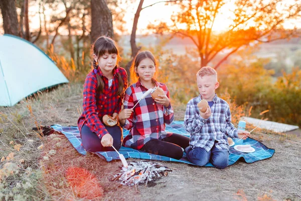 A cheerful company of two girls and a boy on a picnic in the middle of the forest. Children fry sausages on the fire, eat buns and have fun in nature