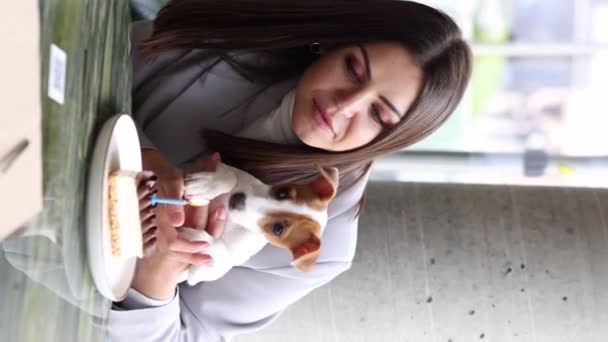 Donna Caucasica Jack Russell Terrier Guardano Torta Con Una Candela — Video Stock