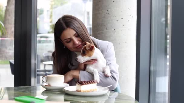 Femme Caucasienne Jack Russell Terrier Regarder Gâteau Chien Propriétaire Célèbrent — Video