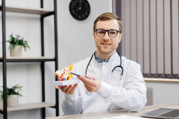 Young Attractive Otolaryngologist Doctor Sitting His Workplace Office Holding Model — Foto Stock