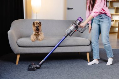 Şirin genç bir kadın, sevimli köpeği izlerken kablosuz elektrik süpürgesiyle evi süpürüyor.