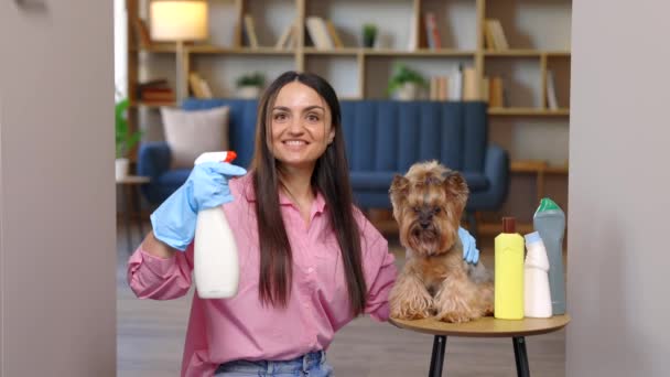 Молода Жінка Сидить Біля Столу Прибиральними Продуктами Вдома Маленька Собака — стокове відео
