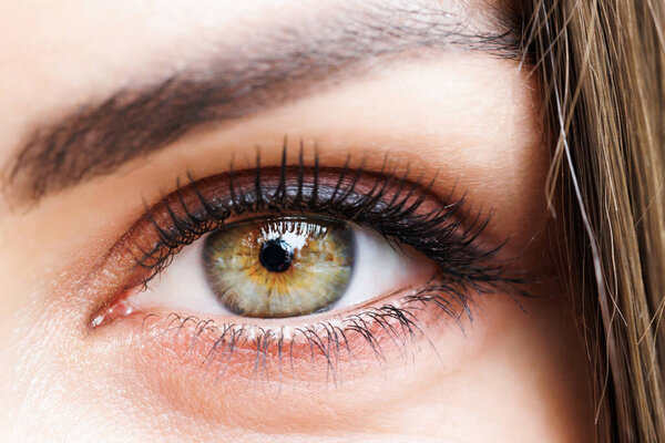 Close-up image of a female eye. A woman with beautifully drawn eyes