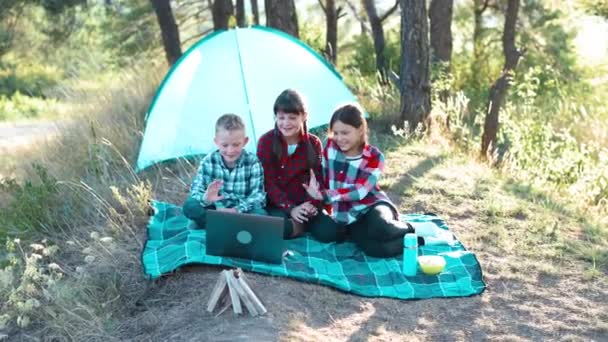 Дети Ведут Видеочат Ноутбуке Лесу Мальчики Девочки Отдыхают Палаточном Лагере — стоковое видео