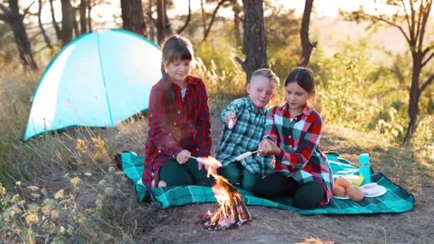 Весела Компанія Двох Дівчат Хлопчика Пікніку Посеред Лісу Діти Смажать — стокове відео