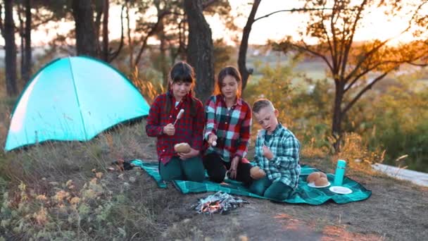 一个由两个女孩和一个男孩组成的快乐的团体在森林中央野餐 孩子们在火上煎香肠 吃面包 在大自然中玩乐 暑期文娱活动的概念 — 图库视频影像