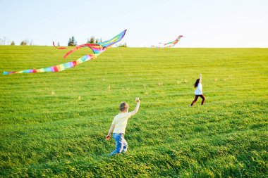 Mutlu çocuklar sahada uçurtma fırlatırlar. Küçük oğlan ve kız yaz tatilinde..