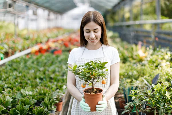 Woman Holds Pot Flowers Her Hands Growing Plants Sale Plant — Stock Photo, Image