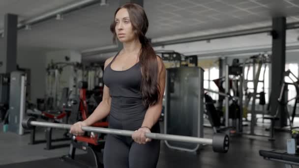 Joven Chica Sexy Realizando Ejercicio Para Bíceps Con Una Barra — Vídeo de stock