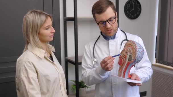 Young Attractive Otolaryngologist Doctor Shows Model Human Head Tells Patient — стоковое видео
