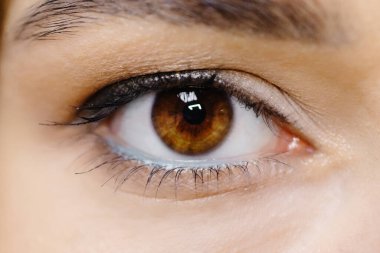 Kadın gözünün yakın plan görüntüsü. Güzel çizilmiş gözleri olan bir kadın.