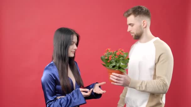 Doamna Șocată Bărbatul Pozitiv Ținând Oală Flori Roșii Privind Camera — Videoclip de stoc