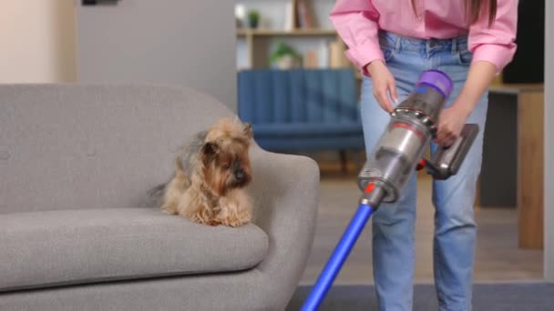 Cute Young Woman Vacuuming Home Cordless Vacuum Cleaner Stroking Her — Stock Video