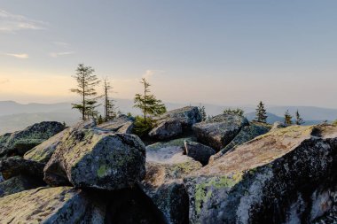 Uzakta uzun ağaçlarla kaplı kayalık bir dağ manzarası doğal manzaranın engebeli güzelliğini gözler önüne seriyor..