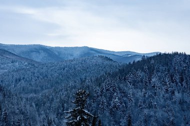 Görkemli karla kaplı dağlar ve bereketli ormanlar nefes kesici bir kış harikalar diyarı yaratarak doğanın güzelliğine huzur veren anları davet ediyor.