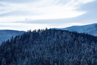 Görkemli karla kaplı dağlar ve bereketli ormanlar nefes kesici bir kış harikalar diyarı yaratarak doğanın güzelliğine huzur veren anları davet ediyor.