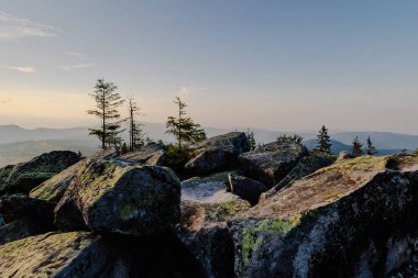 Batan güneşin sıcacık ışığıyla aydınlatılan kayalar ve ağaçlarla dolu bir dağın manzarası.