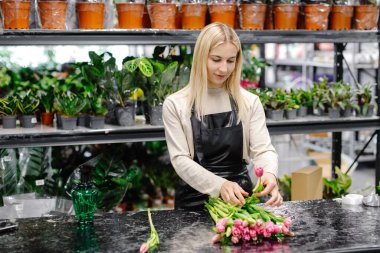 Çiçekçi dükkanında pembe laleler düzenleyen siyah önlüklü bir çiçekçi. Etrafı saksılarla çevrili.