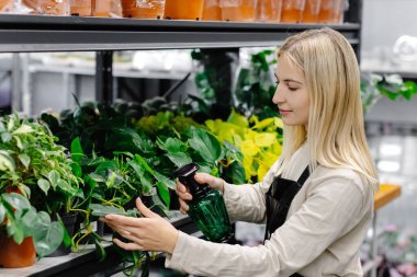 Bir bahçe merkezinde bitkilerle ilgilenen bir kadın, canlı yapraklarına su püskürterek, evin içinde büyümeyi ve güzelliği besliyor.